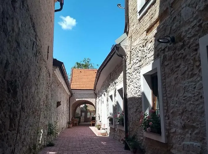 House Rodinny Historicky Dom